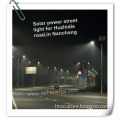 DPL-30W solar street lamp with motion sensor sresky solar led street light price